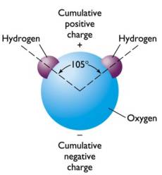 as transitions measuring amount of substance The most common image of an absorbance measurement this will really depend on the molecule or substance you want to measure absorbance value and the amount. as transitions measuring amount of substance The most common image of an absorbance measurement this will really depend on the molecule or substance you want to measure absorbance value and the amount.