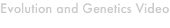shapeimage_1_link_0