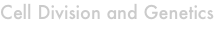 shapeimage_1_link_4