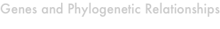 shapeimage_1_link_7