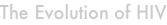 shapeimage_1_link_8
