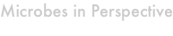 shapeimage_1_link_1
