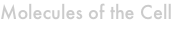 shapeimage_1_link_2