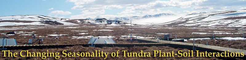 The Changing Seasonality of Tundra Plant-Soil Interactions