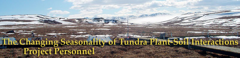 The Changing Seasonality of Tundra Plant-Soil Interactions